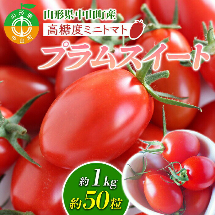 [2024年先行予約]山形県中山町産高糖度ミニトマト (プラムスイート) 期間限定 数量限定 濃厚 リコピン 甘い おやつ サラダ 新鮮