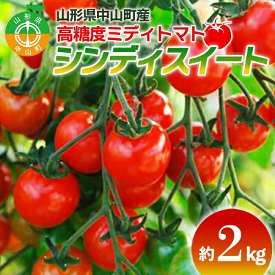 楽天ふるさと納税　【ふるさと納税】【2024年先行予約】山形県中山町産高糖度ミディトマト《シンディスイート》約2kg 期間限定 数量限定 濃厚 リコピン 甘い おやつ サラダ 完熟 新鮮 F4A-0111