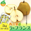 【ふるさと納税】【2025年先行予約】山形県産 西洋梨 ラ・フランス 5kg(14~18玉) 期間限定 数量限定 西塔果樹農園 ラフランス 果物 秋果実 フルーツ 洋ナシ 西塔果樹農園 ラフランス 果物 秋果実 果物 くだもの フルーツ 洋ナシ 洋なし F4A-0117