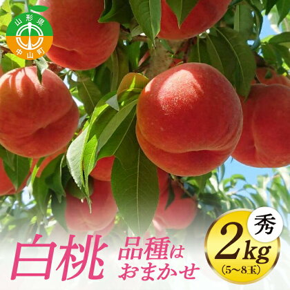 《先行予約・期間限定》山形県産 白桃 秀2kg (5～8玉) 【品種おまかせ】期間限定 数量限定 もも モモ フルーツ 果物 くだもの F4A-0143