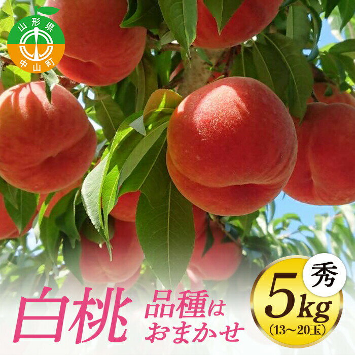 【ふるさと納税】《先行予約・期間限定》山形県産 白桃 秀5kg(13~20玉)【品種おまかせ】期間限定 数量限定 もも モモ フルーツ 果物 くだもの F4A-0145