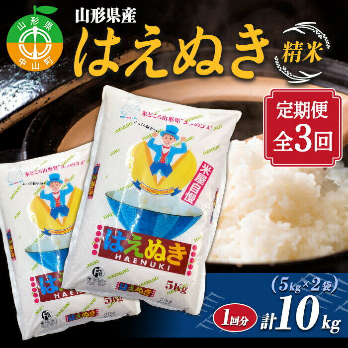 ≪先行予約 令和6年産≫ 定期便 山形県産 はえぬき 精米5kg×2袋 計10kg×3回 ブランド米 こめ ご飯 ごはん 白米 毎月届く 山形県 中山町