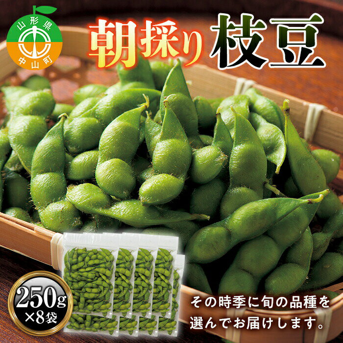 [2024年 先行予約][品種おまかせ]中山町産 朝採り枝豆 2kg(250g×8袋) 山形県産 おつまみ 新鮮 朝どれ