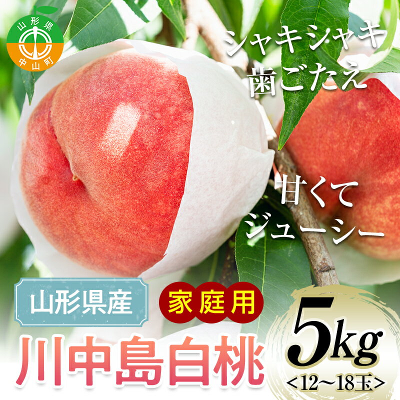 【ふるさと納税】2024年 山形県産 ご家庭用 川中島 白桃 5kg (12～18玉) 2024年8月下旬から順次発送 硬め 柔らかくなる 有袋 もも モモ 桃 フルーツ くだもの 果物 夏果実 訳あり ご自宅用 お取り寄せ 期間限定 産地直送 山形県 中山町 F4A-0242のサムネイル