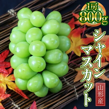 《先行予約》2024年 山形県産 シャインマスカット 約800g 1房 2024年9月下旬から順次発送 ぶどう ブドウ 葡萄 マスカット 大粒 種なし 高級 くだもの 果物 フルーツ 秋果実 産地直送 数量限定 ギフト 山形県 中山町 F4A-0243