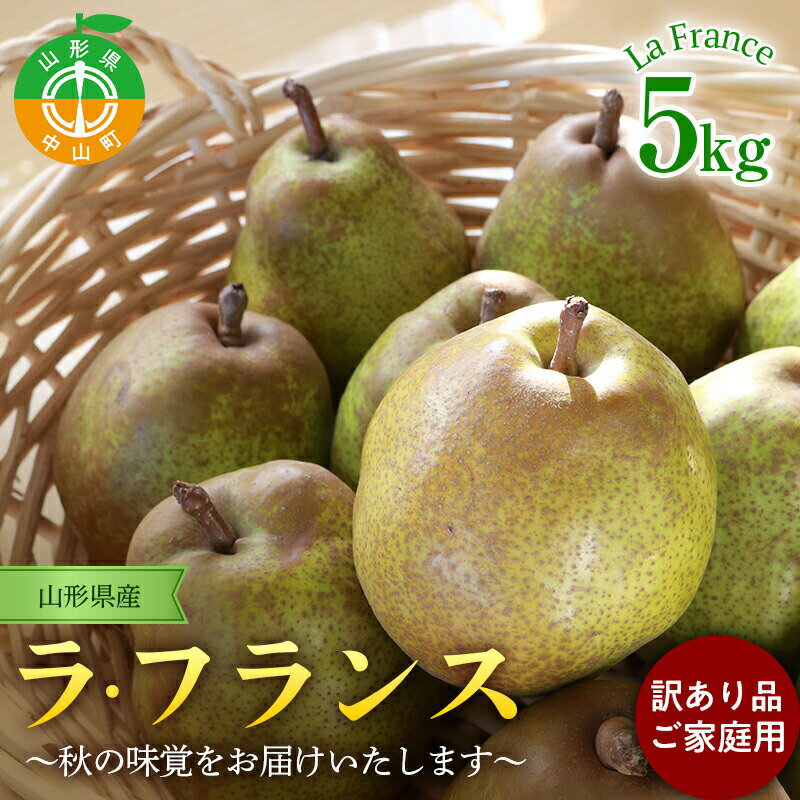 【ふるさと納税】《農家支援品》【訳あり品・ご家庭用】山形県産ラ・フランス 5kg（11月上旬発送） 果物 くだもの フルーツ ラフランス 洋梨 西洋梨 洋ナシ洋なし 秋果実 F4A-0254のサムネイル