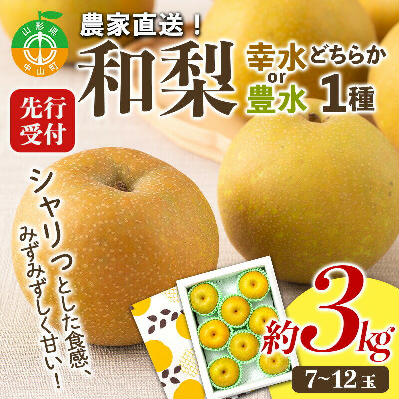 23位! 口コミ数「0件」評価「0」【2024年先行予約】農家直送「和梨」約3kg 中山町 渡辺ファーム 山形県産 梨 なし ナシ 果物 くだもの フルーツ F4A-0261