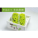 商品画像2