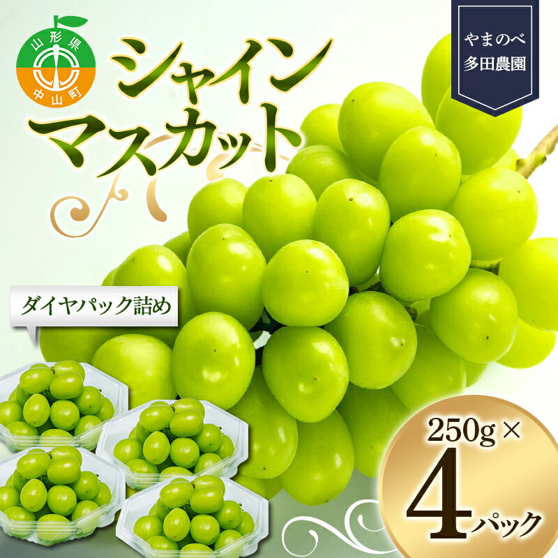  シャインマスカット ダイヤパック 250g×4パック やまのべ多田農園のぶどう 山形県産 フルーツ 果物 くだもの 葡萄 ブドウ 贅沢 F4A-0347