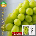 29位! 口コミ数「0件」評価「0」《先行予約》2024年 山形県産 シャインマスカット 1房（600g）秀品 2024年9月上旬から順次発送 期間限定 数量限定 果物 フルー･･･ 