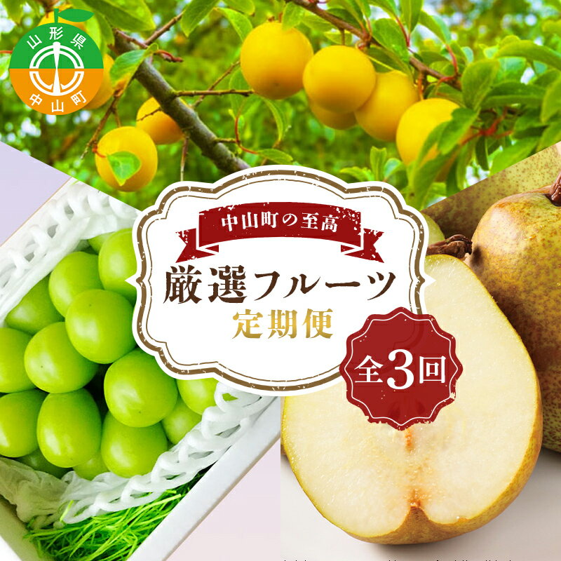 【ふるさと納税】 中山町の至高！ 山形県中山町 厳選フルーツ定期便 全3回 【2024年8月発送開始】 F4A...