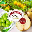 【ふるさと納税】 中山町の至高! 山形県中山町 厳選フルーツ定期便 全3回 【2025年8月発送開始】 F4A-0384