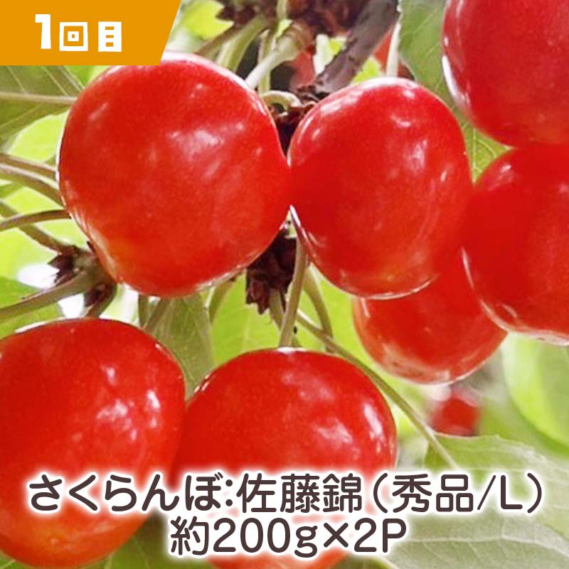 【ふるさと納税】 【2024年先行受付】《定期便3回》元気の郷 中山町フルーツ定期便 ～ほどよいサイズ～ 佐藤錦 秋姫 シャインマスカット さくらんぼ サクランボ 葡萄 ぶどう ブドウ すもも スモモ 山形県産 フルーツ 果物 くだもの F4A-0393