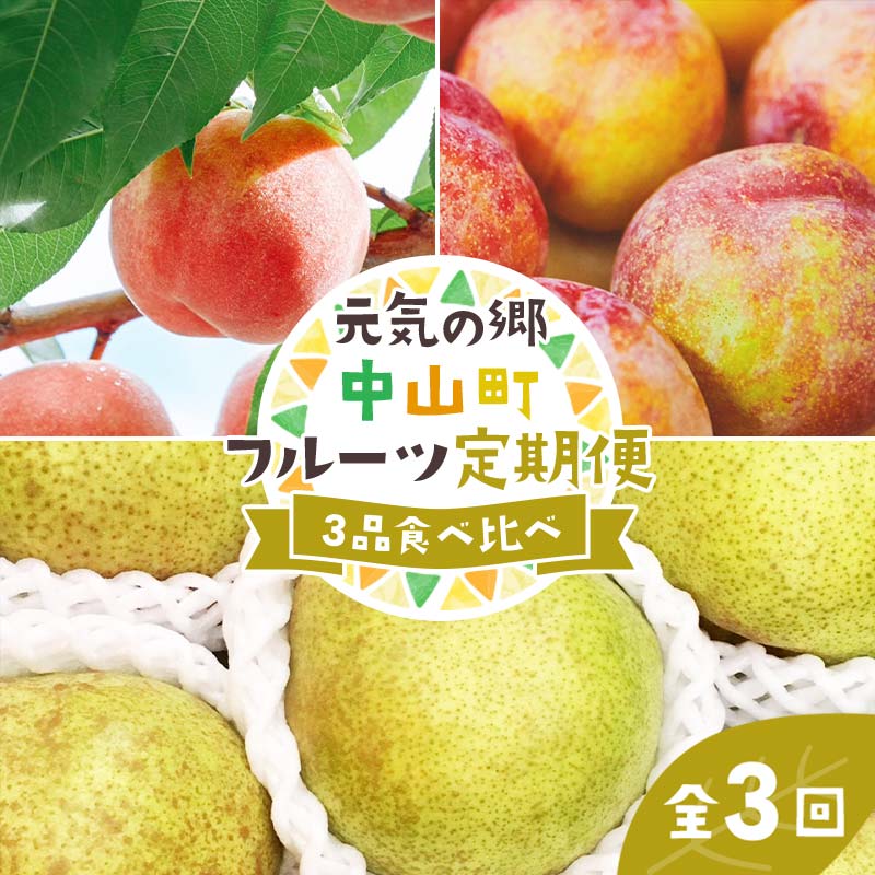 [2025年先行受付][定期便3回]元気の郷 中山町フルーツ定期便 〜3品食べ比べ〜 白桃 秋姫 ラ・フランス 桃 もも モモ 梨 洋ナシ 洋梨 すもも スモモ 山形県産 フルーツ 果物 くだもの