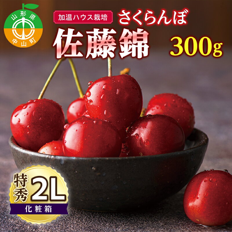 14位! 口コミ数「0件」評価「0」 ≪先行予約≫加温ハウス栽培 2024年 山形県産 さくらんぼ 佐藤錦 特秀 2L 化粧詰 300g 2024年5月中旬から順次発送 先取り･･･ 