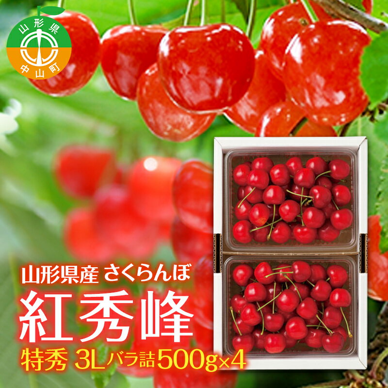 ≪先行予約≫2024年 山形県産 さくらんぼ 紅秀峰 特秀 3L バラ詰 500gx4 2024年7月上旬から順次発送 露地栽培 果物 くだもの フルーツ 贈答 ギフト 数量限定 産地直送 農家直送