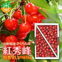 【ふるさと納税】贈答用 山形県産 さくらんぼ 紅秀峰 特秀 2L バラ詰 1kg 2025年6月下旬から順次発送 露地栽培 果物 くだもの フルーツ 贈答 ギフ...