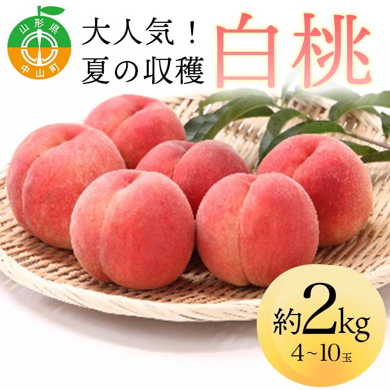【ふるさと納税】 《2025年先行予約》 山形県産 大人気！ 夏の収穫 白桃 約2kg（4～10玉） 桃 もも フルーツ くだもの 山形県 中山町 F4A-0423