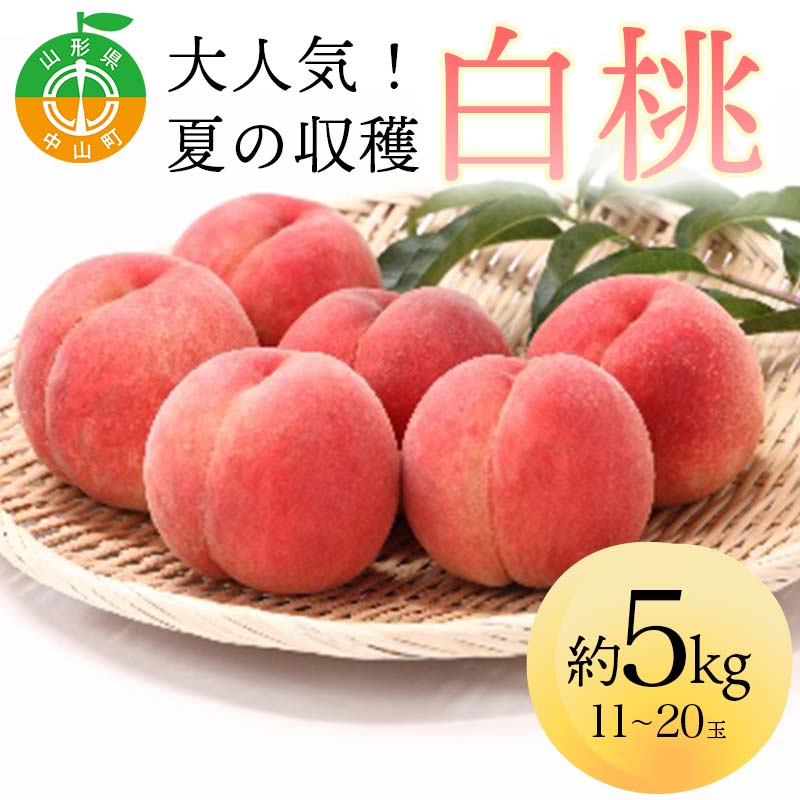 【ふるさと納税】 《2025年先行予約》 山形県産 大人気! 夏の収穫 白桃 約5kg(11~20玉) 桃 もも フルーツ くだもの 山形県 中山町 F4A-0425