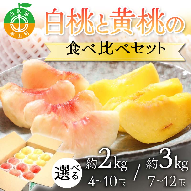 [2025年先行予約] 数量が選べる どちらも食べたい!白桃と黄桃の食べ比べセット 桃 もも フルーツ 果物 くだもの 山形県 中山町 F4A-0429var
