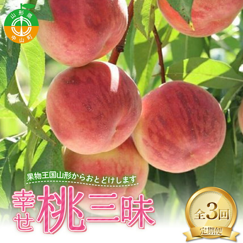 [定期便 3回]幸せ♪桃三昧 白桃 黄桃 果物 フルーツ 山形県 中山町
