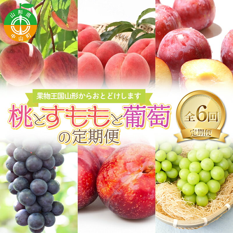 [定期便 6回]桃とすももと葡萄の定期便 白桃 黄桃 すもも 秋姫 花火 スチューベン シャインマスカット ぶどう 葡萄 果物 フルーツ 山形県 中山町