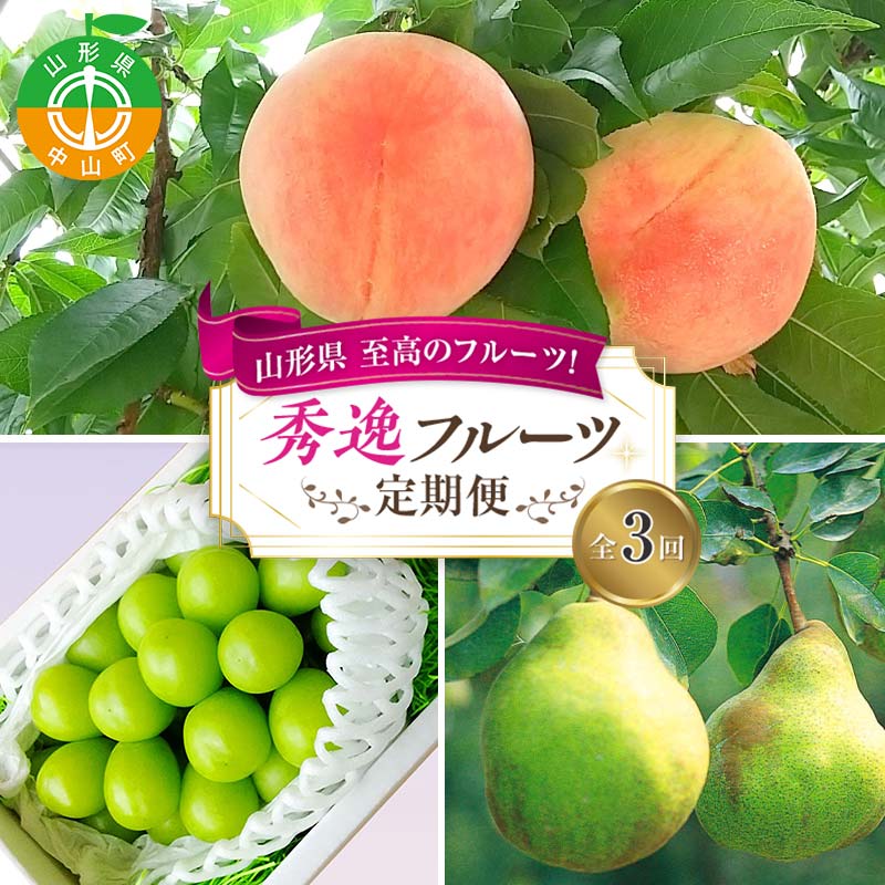 令和7年8月発送開始 山形県 至高のフルーツ!山形県秀逸フルーツ定期便 全3回