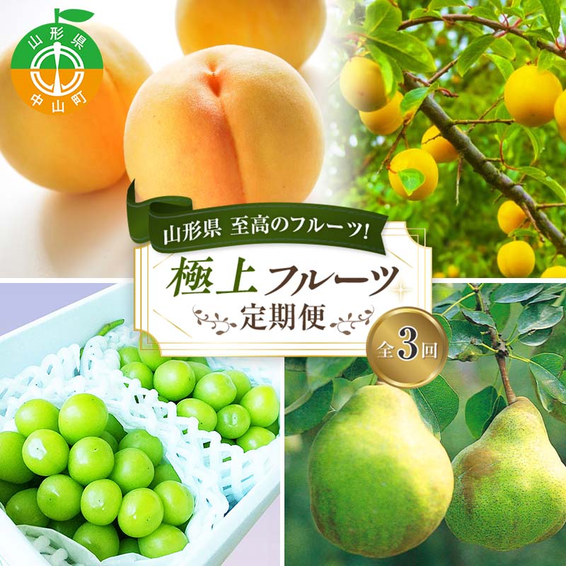 令和7年8月発送開始 山形県 至高のフルーツ!山形県極上フルーツ定期便 全3回