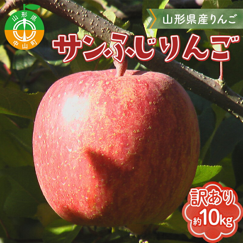 【ふるさと納税】《先行予約》 【訳あり】山形県産サンふじりんご 約10kg 《2025年12月上旬頃より順次発送予定》バラ入り りんご リンゴ 林檎 デザート フルーツ 果物 くだもの 果実 食品 山形県 中山町 F4A-0462