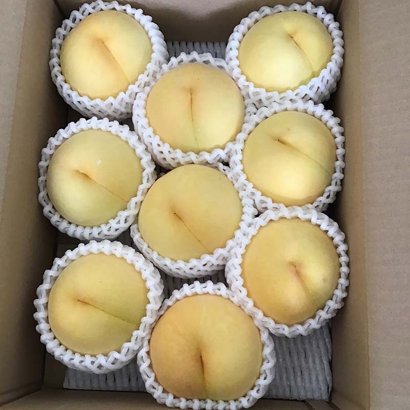 【ふるさと納税】 【令和7年産先行受付】山形県産 黄桃 品種おまかせ 特秀品 柔らかくなる桃 約2kg（黄金桃、スイート光黄、黄ららの極み、黄貴妃 他） F4A-0468