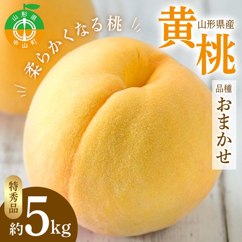 【ふるさと納税】 【令和7年産先行受付】山形県 産黄桃 品種おまかせ 特秀品 柔らかくなる桃 約5kg(黄金桃、スイート光黄、黄ららの極み、黄貴妃 他) F4A-0469