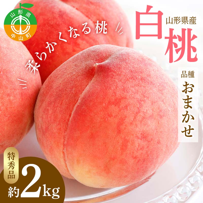 【ふるさと納税】 【令和7年産先行受付】山形県産 白桃 品種おまかせ 特秀品 柔らかくなる桃 約2kg(あかつき、陽夏妃、まどか、川中島白桃、かぐや、ゆうぞら、伊達白桃、あおぞら娘 他) F4A-0470