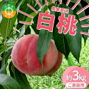 【ふるさと納税】 【ご家庭用】令和7年産 先行受付 農家直送「白桃」約3kg(6〜11玉) 品種おまかせ 山形県 中山町 F4A-0471