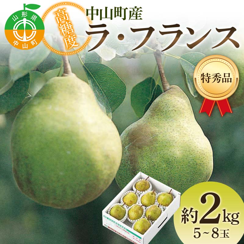 【ふるさと納税】 2025年産 先行受付 中山町産 高糖度 ラ・フランス 約2kg 特秀品 5~8玉 果物 フルーツ 山形県 中山町 F4A-0472
