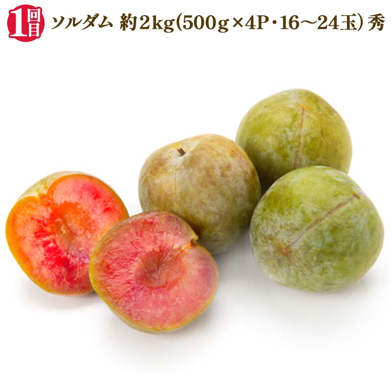 【ふるさと納税】 【2025年 先行予約】3回定期便 すもも らぶ便 果物 くだもの 山形県 中山町 F4A-0484