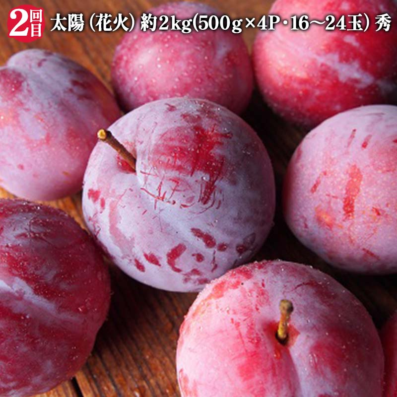 【ふるさと納税】 【2025年 先行予約】3回定期便 すもも らぶ便 果物 くだもの 山形県 中山町 F4A-0484