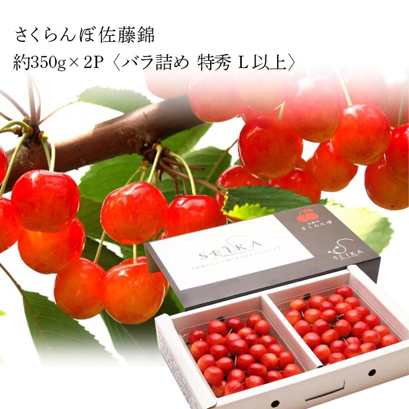 【ふるさと納税】【定期便 12回】山形県産 果物フルコース定期便 くだもの フルーツ さくらんぼ 佐藤錦 紅秀峰 桃 もも すもも 和梨 豊水 幸水 秋姫 ぶどう シャインマスカット デラウェア スチューベン ラ・フランス ラフランス りんご 山形県 中山町 F4A-0492