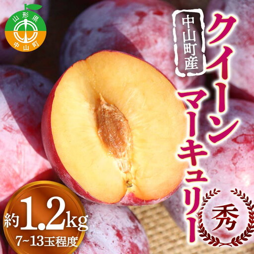 【ふるさと納税】中山町産クイーンマーキュリー 約1.2kg 7~13玉程度 秀 桃 もも フルーツ すもも スモモ 山形県産 F4A-0917 【ふるさと納税】中山町産クイーンマーキュリー 約1.2kg 7~13玉程度 秀 桃 もも フルーツ すもも スモモ 山形県産 F4A-0917