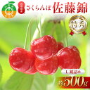 【ふるさと納税】【先行受付】さくらんぼ佐藤錦 約500g L 特秀 鏡詰め 果物 くだもの フルーツ 夏果物 サクランボ F4A-0949