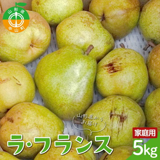 【ふるさと納税】【令和7年産先行受付】山形県産高糖度「ラ・フランス」5kg 家庭用(訳あり) 玉数おまかせ らふらんす 果物 くだもの フルーツ 中山町 訳あり 自宅用 F4A-0953 【ふるさと納税】【令和7年産先行受付】山形県産高糖度「ラ・フランス」5kg 家庭用(訳あり) 玉数おまかせ らふらんす 果物 くだもの フルーツ 中山町 訳あり 自宅用 F4A-0953