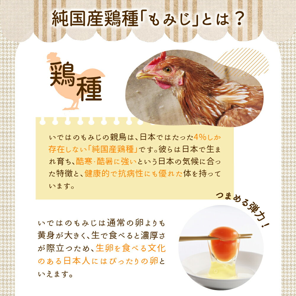 【ふるさと納税】たまご 50個 入り（破損補償5個を含む）新鮮うみたて【ブランド 卵 いではのもみじ紅 】 河北 町 半澤 鶏卵 送料無料 山形 県 黄身 白身 弾力 濃厚 産みたて たまごかけ 卵かけ ごはん ご飯 TKG 親子丼 オムレツ 朝食 美味しい 栄養 たんぱく質