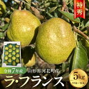 【ふるさと納税】 令和7年産 ラ・フランス 5kg (14玉〜16玉) 特秀 | 河北町産 ラフランス 洋梨 西洋梨 フルーツ 果物 くだもの 贈り物 ギフト ...