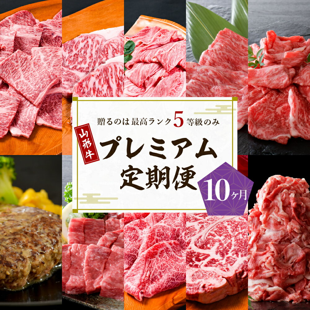 山形牛 【ふるさと納税】【数量限定】 牛肉 山形牛 最高級 プレミアム 10ヶ月 定期便 最高ランク 5等級 国産牛 食べ比べ 大活躍 お楽しみ すき焼き 焼き肉 しゃぶしゃぶ ステーキ ハンバーグ カタ モモ サーロイン ロース 切落し 赤身 お取り寄せ グルメ 牛肉専門店 べごや