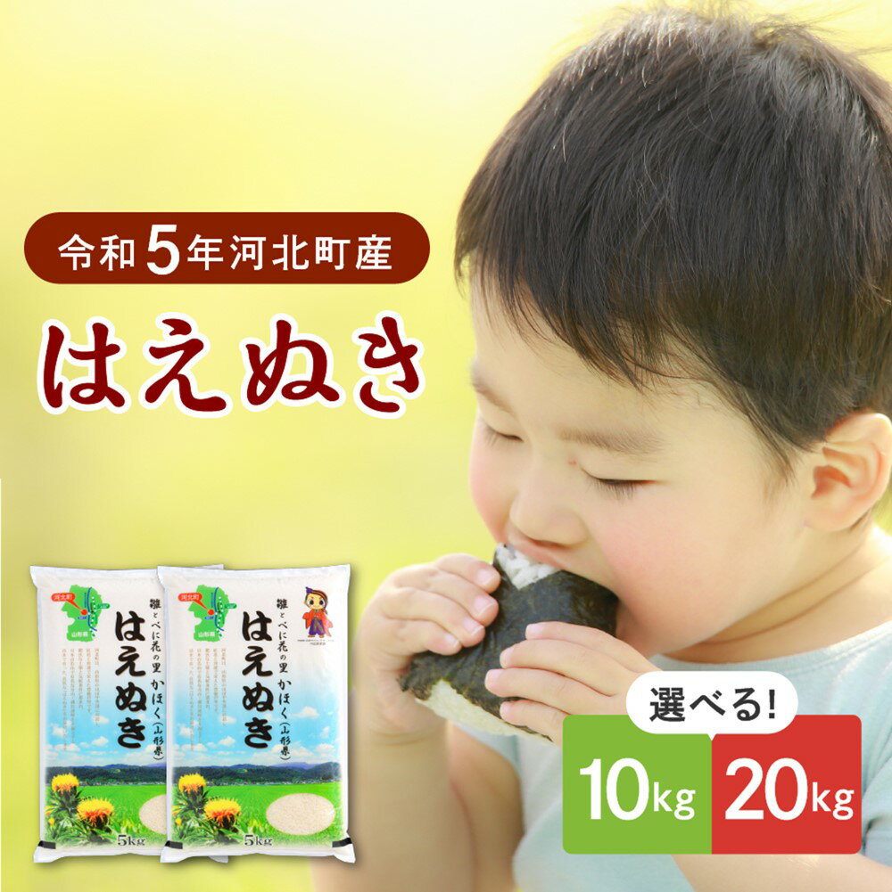 [令和5年産]発送時期が選べる はえぬき 10kg と 20kg が 選べる 山形県産[JAさがえ西村山]2023年 米 送料無料 山形県 河北町 先行受付 お米 白米 精米 こめ ごはん ご飯 おにぎり 弁当 お取り寄せ