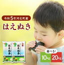 【ふるさと納税】【令和5年産】発送時期が選べる はえぬき 10kg と 20kg が 選べる 山形県産【JAさがえ西村山】2023年 米 送料無料 山形県 河北町 先行受付 お米 白米 精米 こめ ごはん ご飯 おにぎり 弁当 お取り寄せ