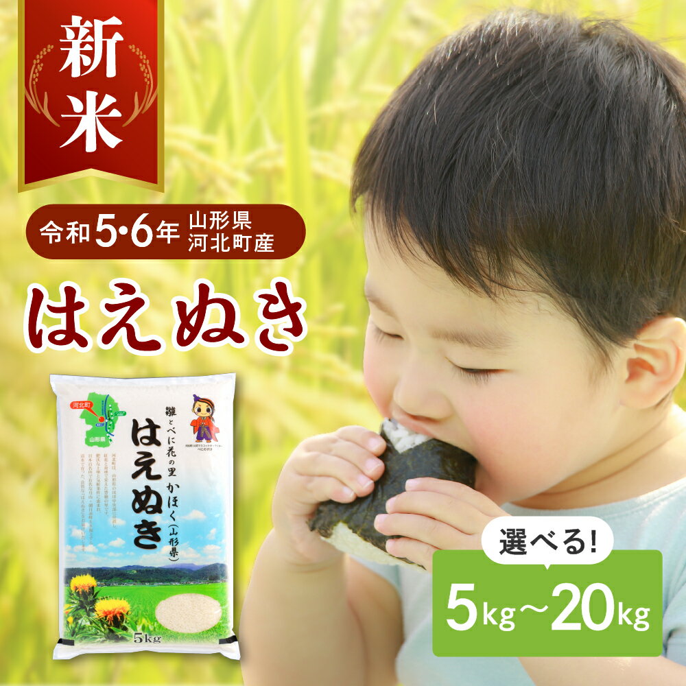 【ふるさと納税】【令和5年 6年産】発送時期が選べる はえぬき 5kg 10kg 20kg が 選べる 山形県産【JAさがえ西村山】2023年 2024年 米 送料無料 山形県 河北町 先行予約 お米 白米 精米 こめ …