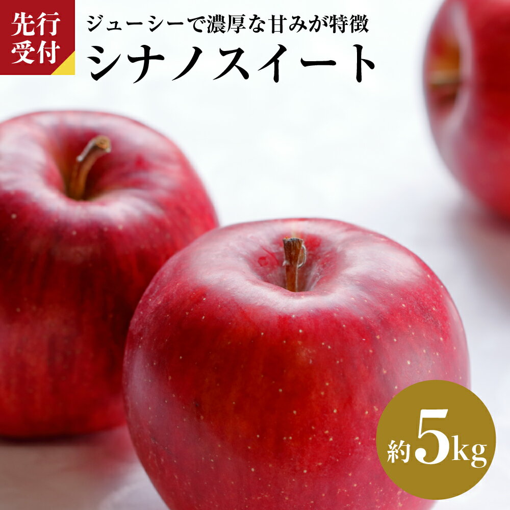 りんご（サンふじ）５ｋｇ １１～２０玉 ご家庭用 0056-2223| ふるさと納税バイブル
