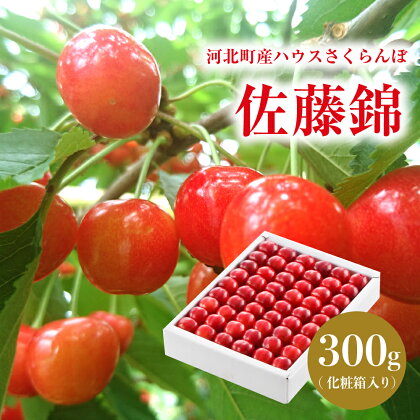 5月 ハウスさくらんぼ 佐藤錦 特秀 L サイズ 以上 300g 化粧箱 【令和6年産】冷蔵配送 加温 サクランボ チェリー フルーツ 果物 果肉 青果 贈答 プレゼント 贈り物 お取り寄せ 送料無料 東北 山形県 河北町【JAさがえ西村山】