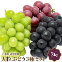 【ふるさと納税】【令和7年産】 大粒 ぶどう 3種 セット 2kg 国産 マスカット 緑 赤 黒 ぶどう ブドウ 葡萄 常温便 フルーツ 果物 果肉 青果 お取...