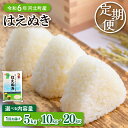 【ふるさと納税】【 新米 定期便 : 毎月 / 隔月】 はえぬき (選べる容量 : 5kg 10kg 20kg | 配送時期 が選べる : 10月~6月) 山形県産 令和7年産 2025年 米 山形 お米 白米 精米 ブランド米 5キロ 10キロ 20キロ 定期 お取り寄せ 国産 送料無料 山形県 河北町